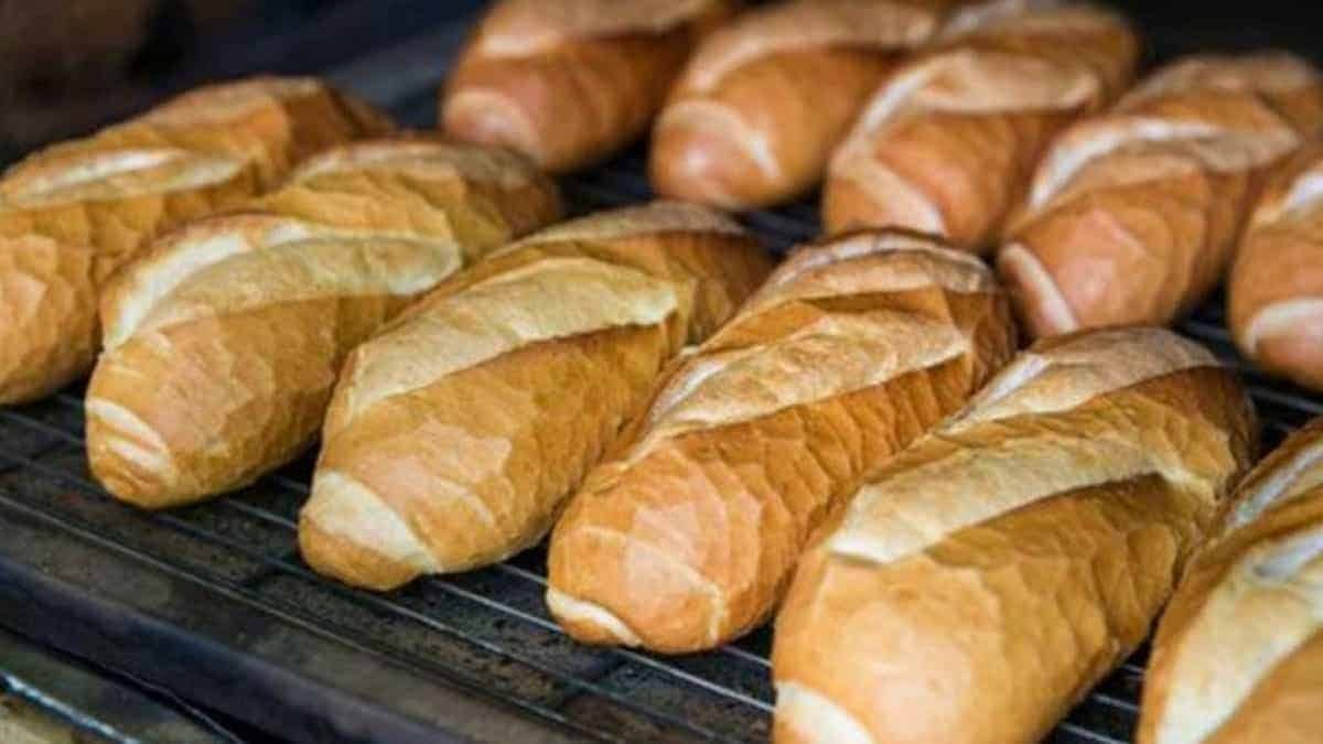 Ăn bánh mỳ có thể chống say xe