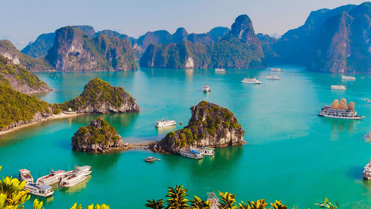 Vịnh Hạ Long