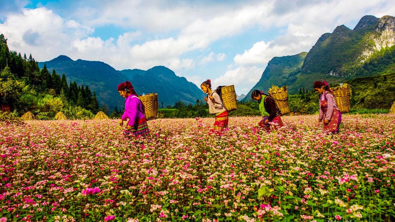 Những lưu ý cần nhớ khi du lịch tại Hà Giang