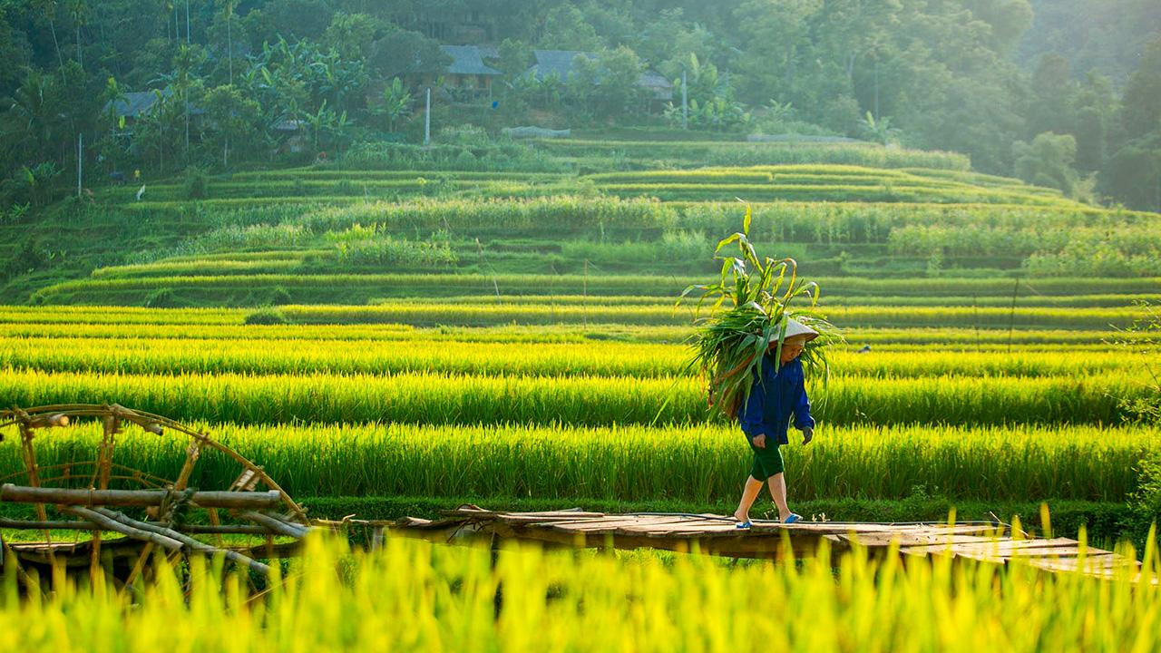 Bản Đôn – Trải nghiệm homestay đậm chất bản địa