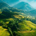 Du Lịch Sapa: Kinh Nghiệm Tự Túc Từ A - Z Mới Nhất 2026 Du lịch Sapa được nhiều du khách nước ngoài lựa chọn