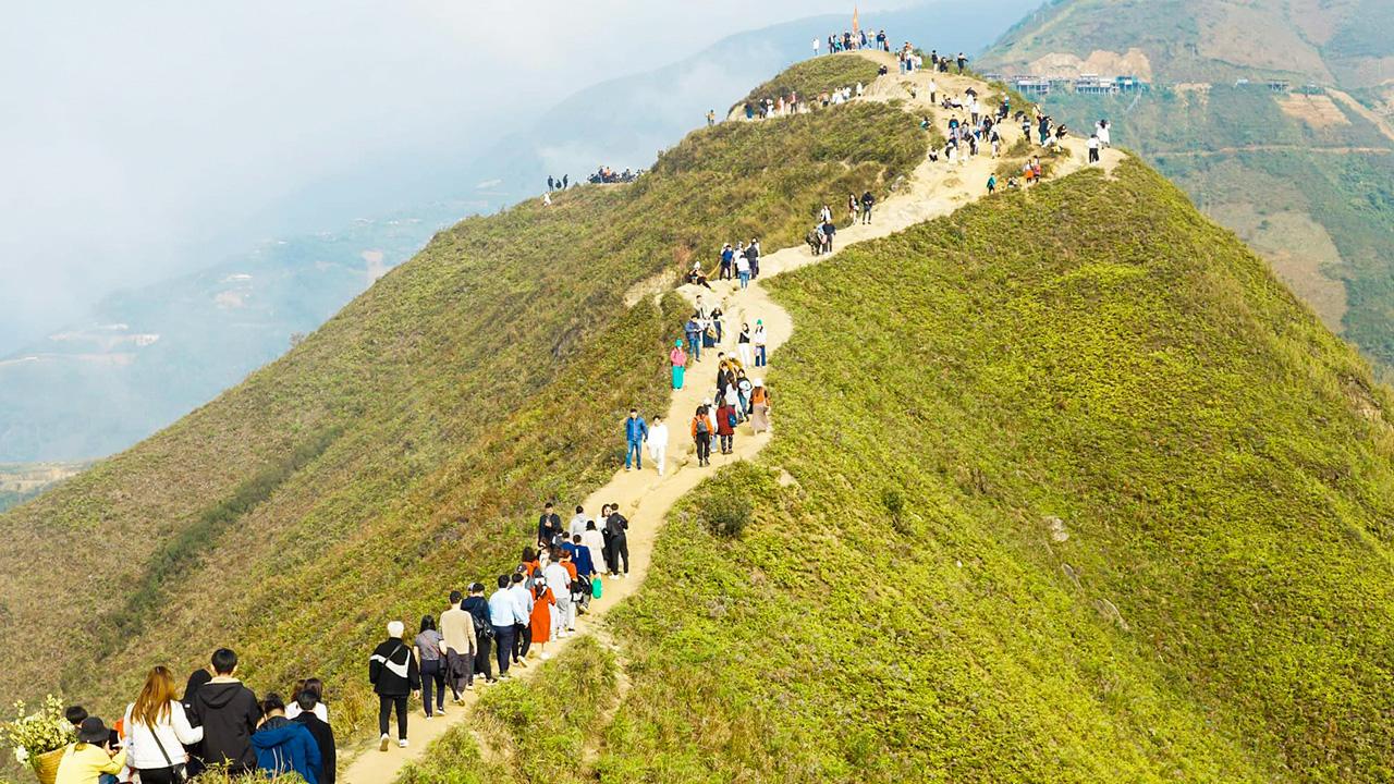 Sống Lưng Khủng Long Háng Đồng