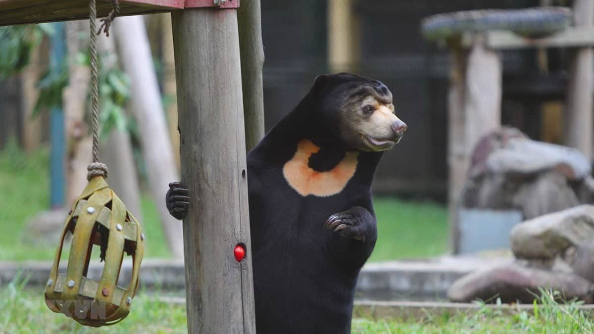 Vườn quốc gia Tam Đảo